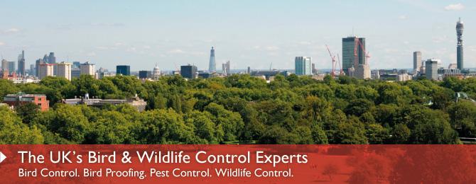 The UK's Bird and Wildlife Control Experts